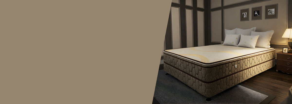 Box Springs & Pullout Beds