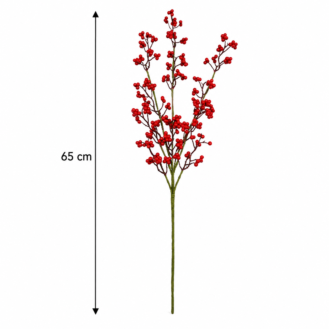 Winterberry Red