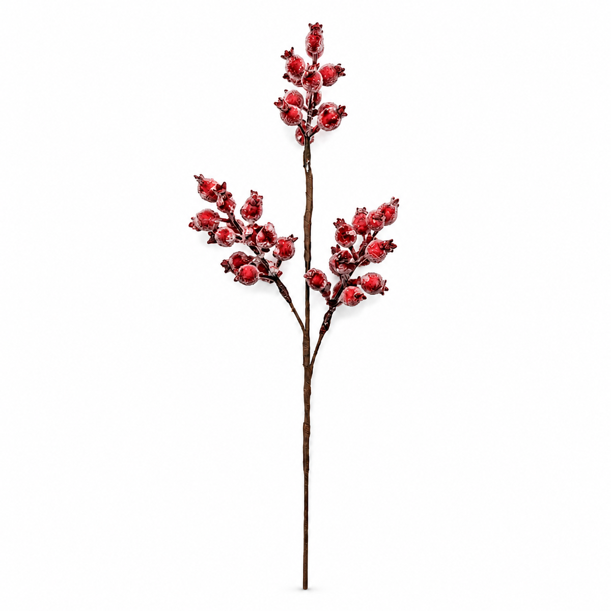 Red Huckleberry