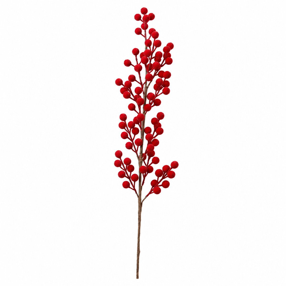 Red Currant Berries