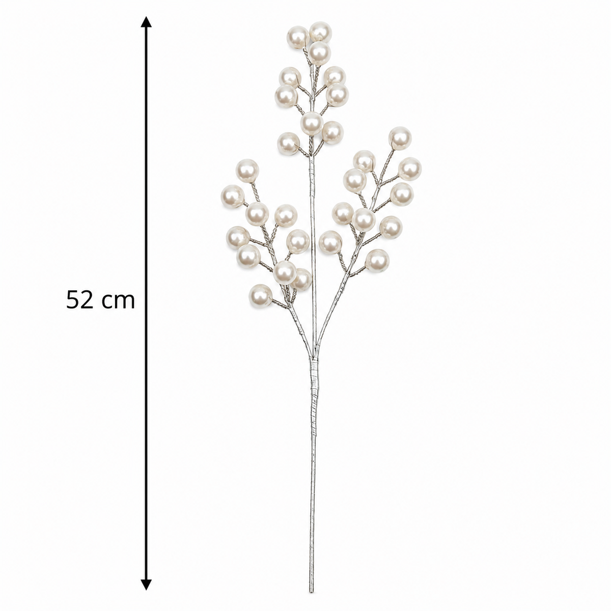 Snowberry