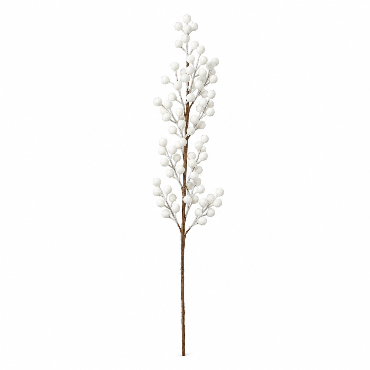 White Currant Berries