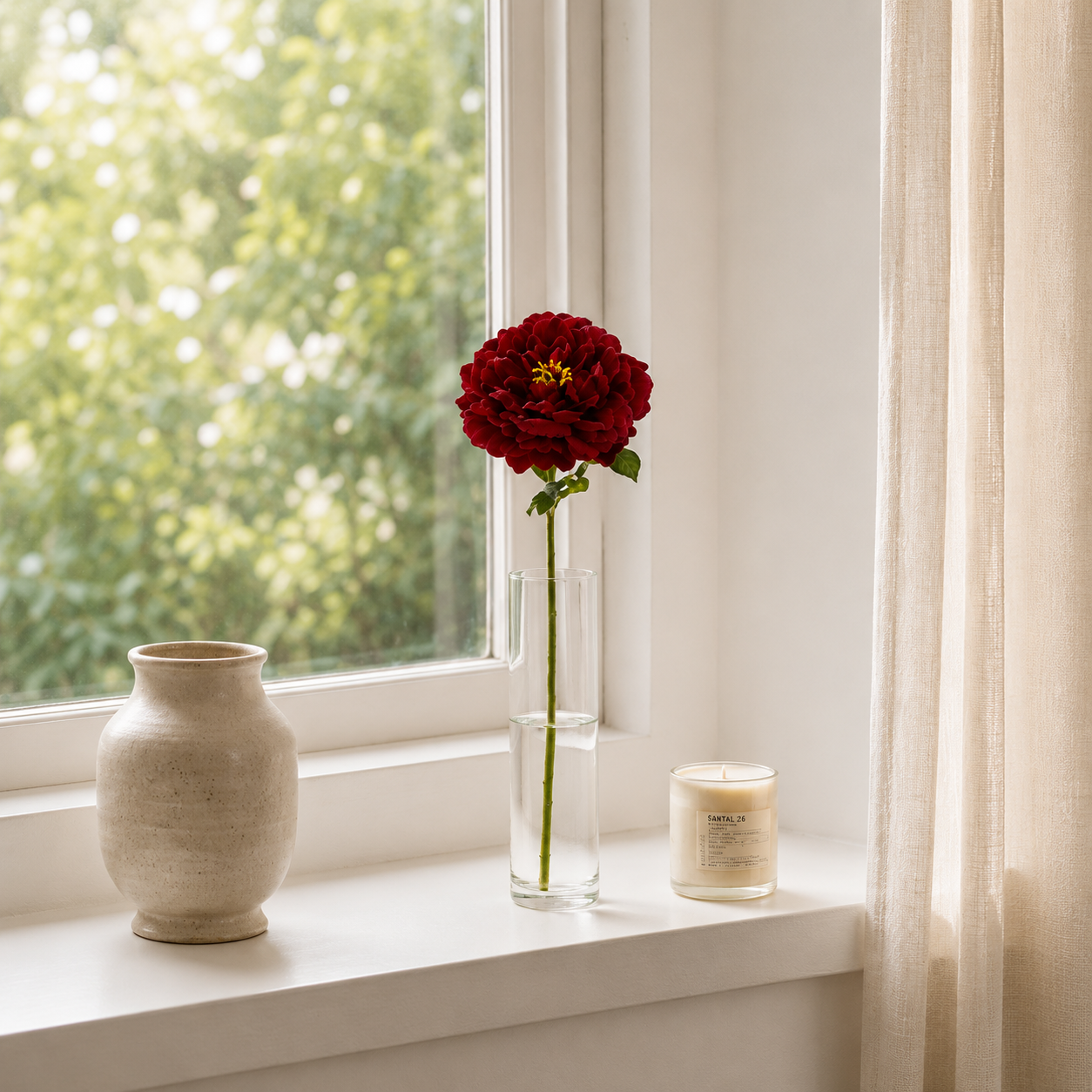 Grandiflora Rose Red