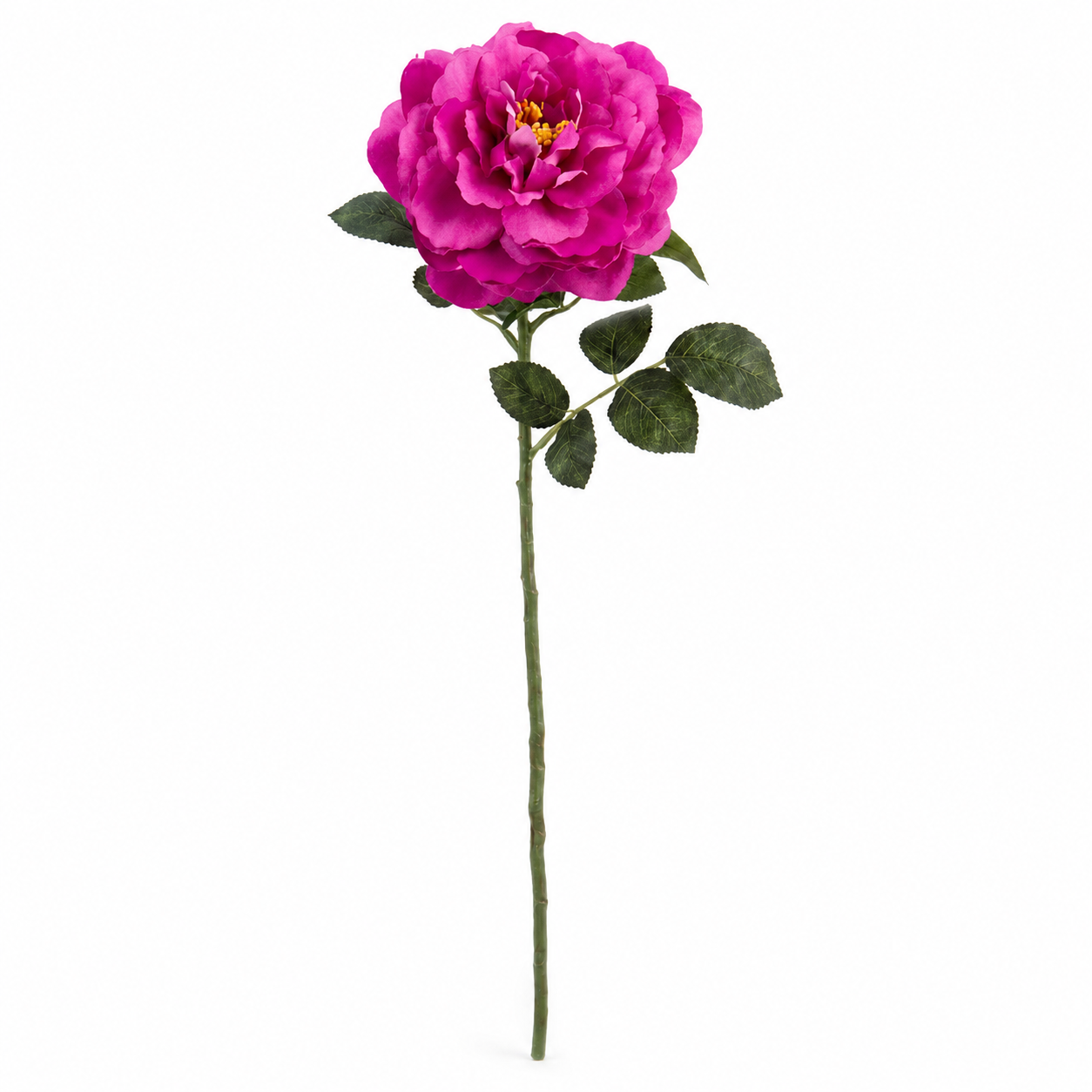 Grandiflora Rose Pink