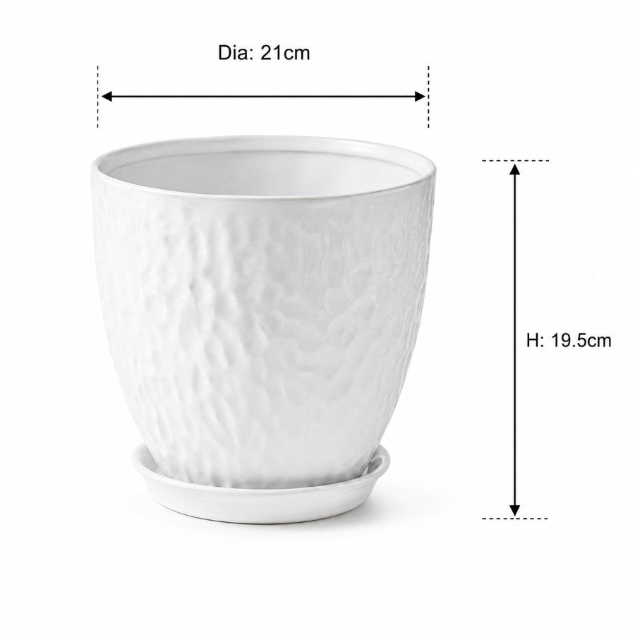 #Size_19 cm