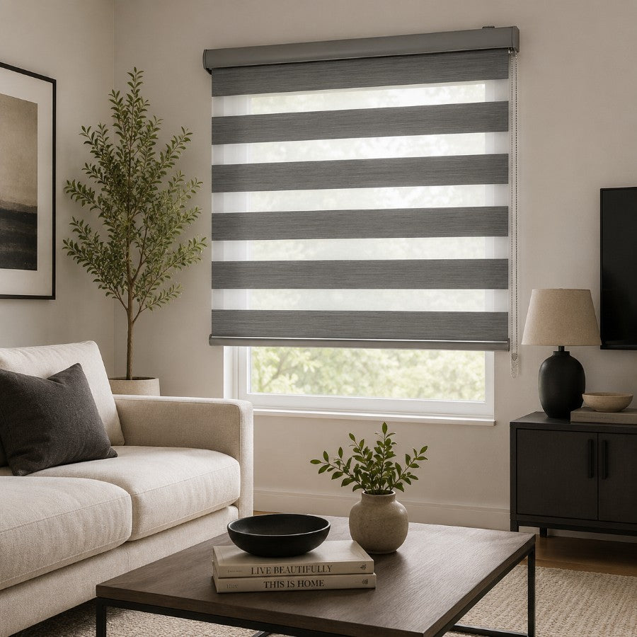 Pale Gray Blackout Zebra Blinds