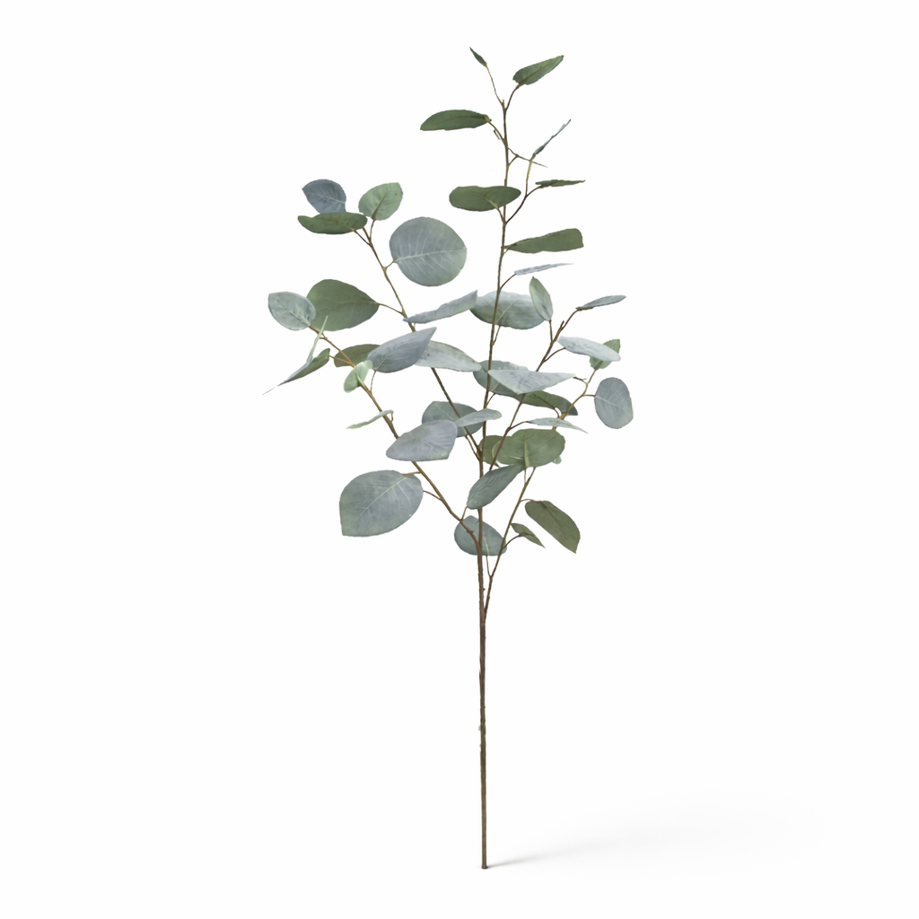 Silver Dollar Eucalyptus Single Leaf