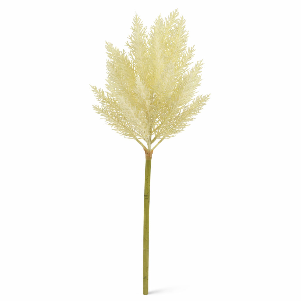 Cortaderia Grass