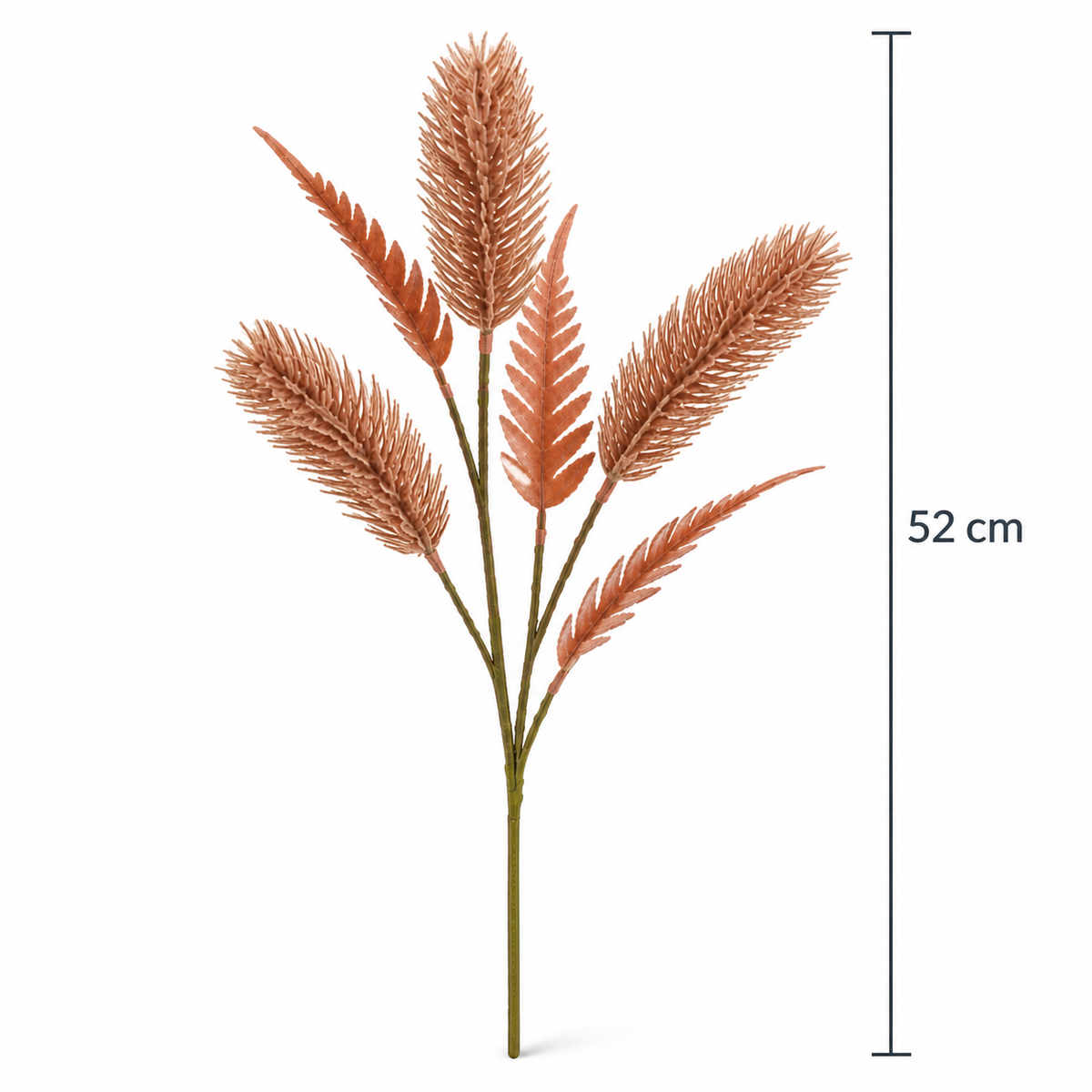 Foxtail Grass