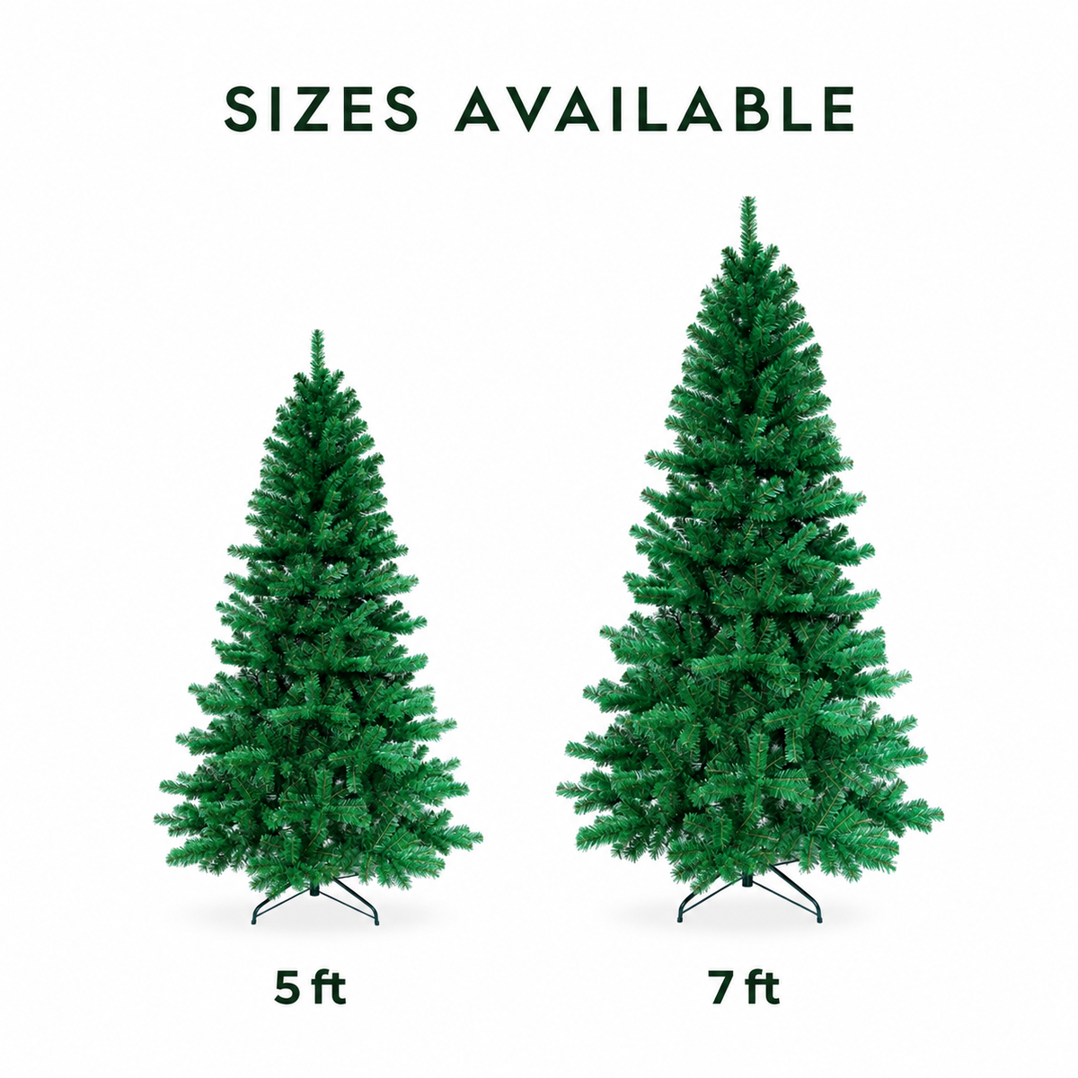 Shensi Fir Christmas Tree