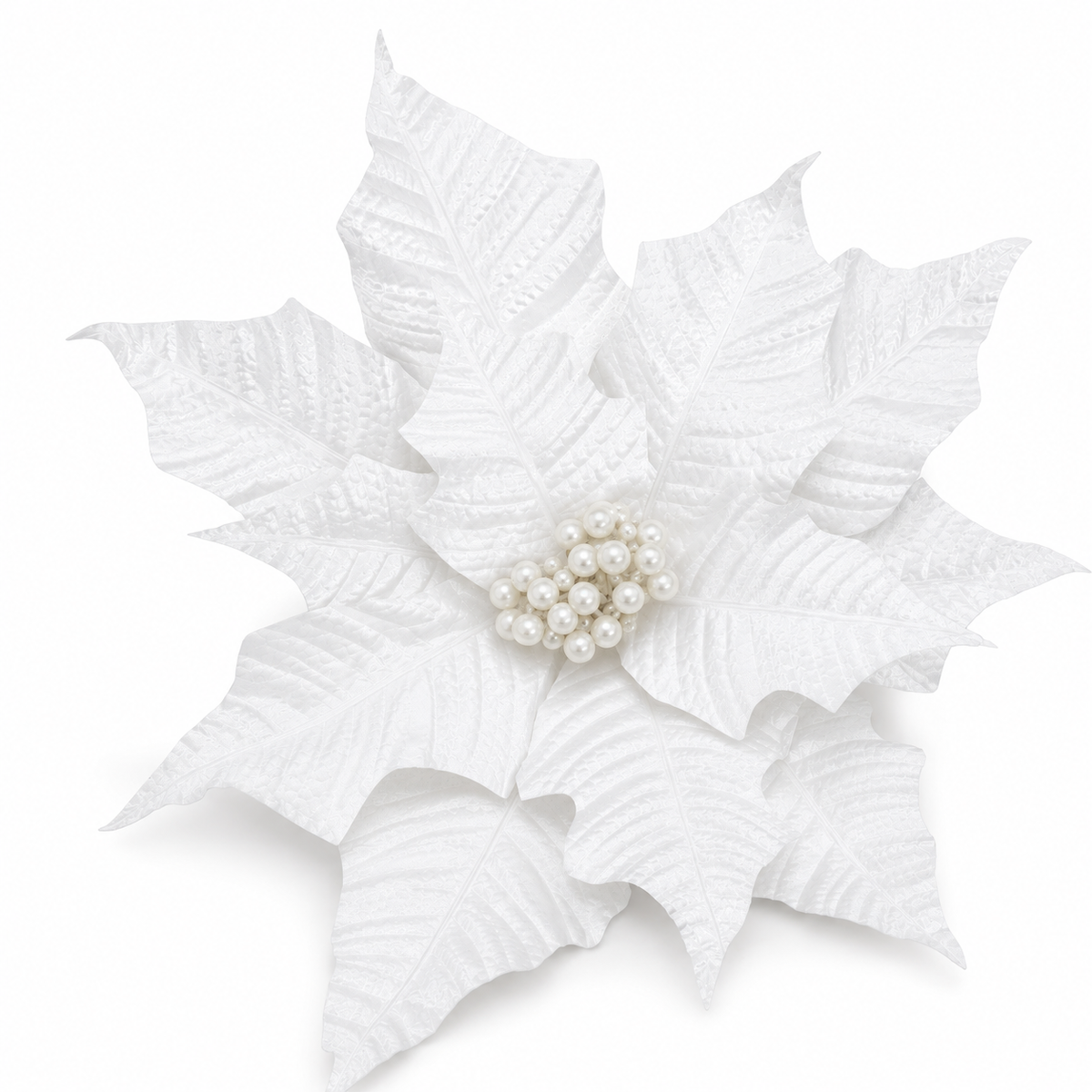 Winter Rose White