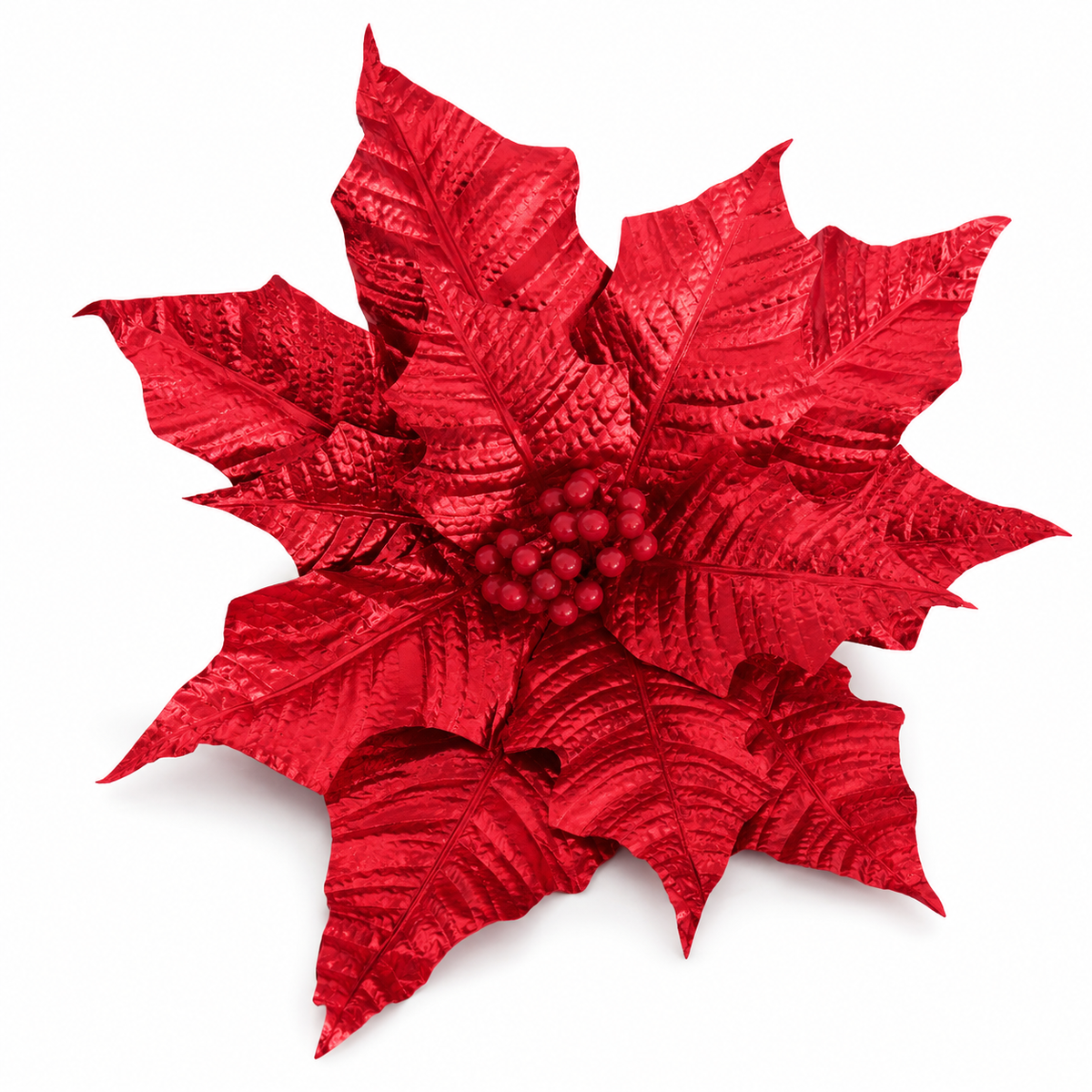Winter Rose Red