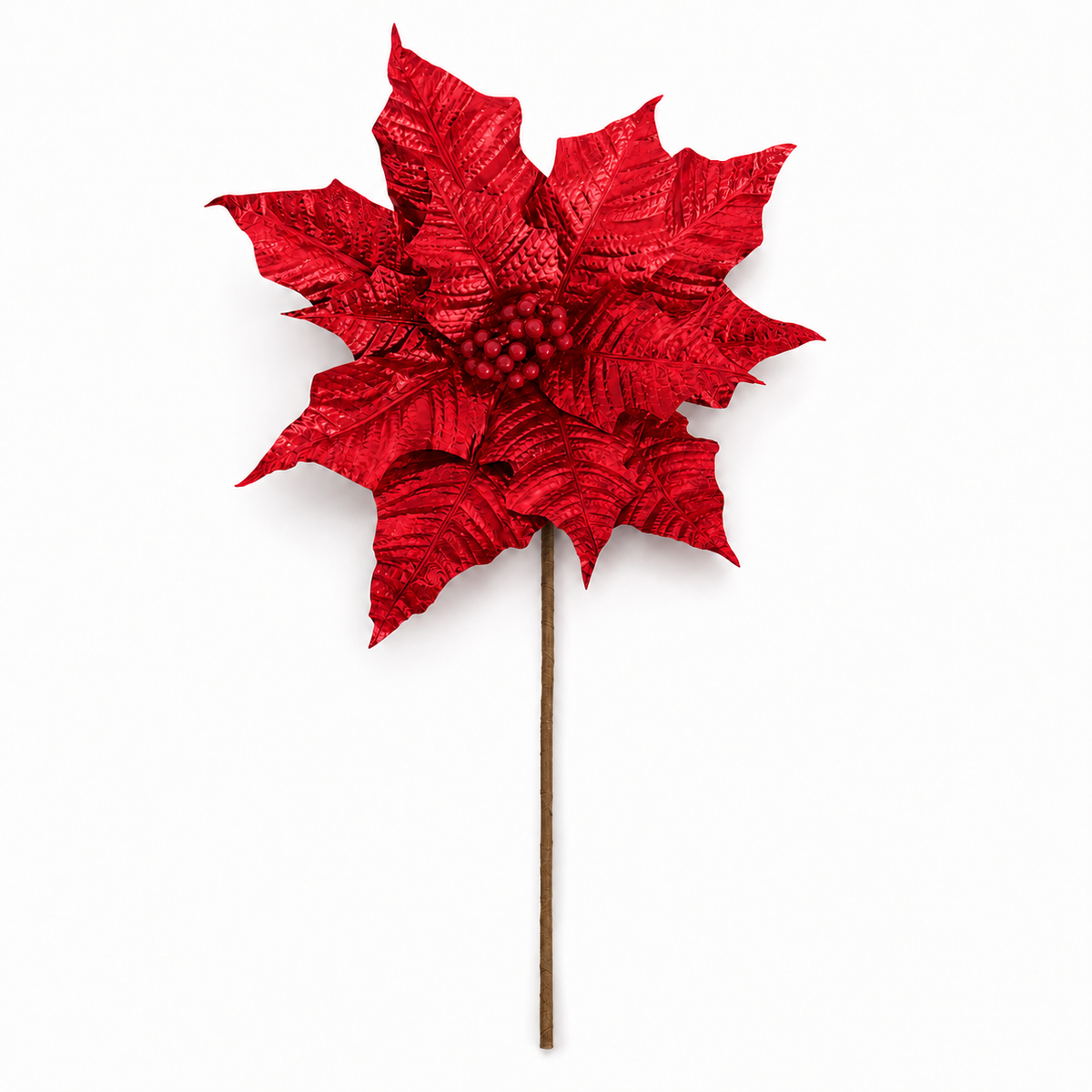 Winter Rose Red