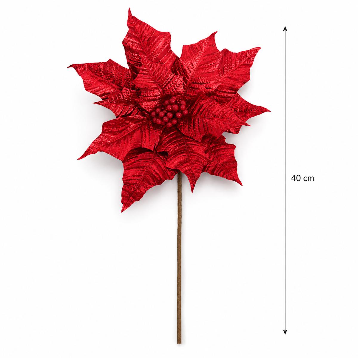 Winter Rose Red