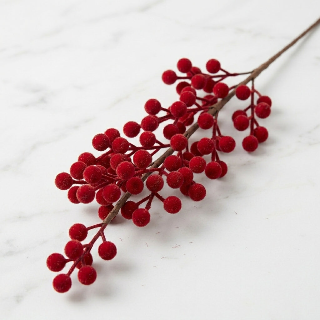 Red Currant Berries