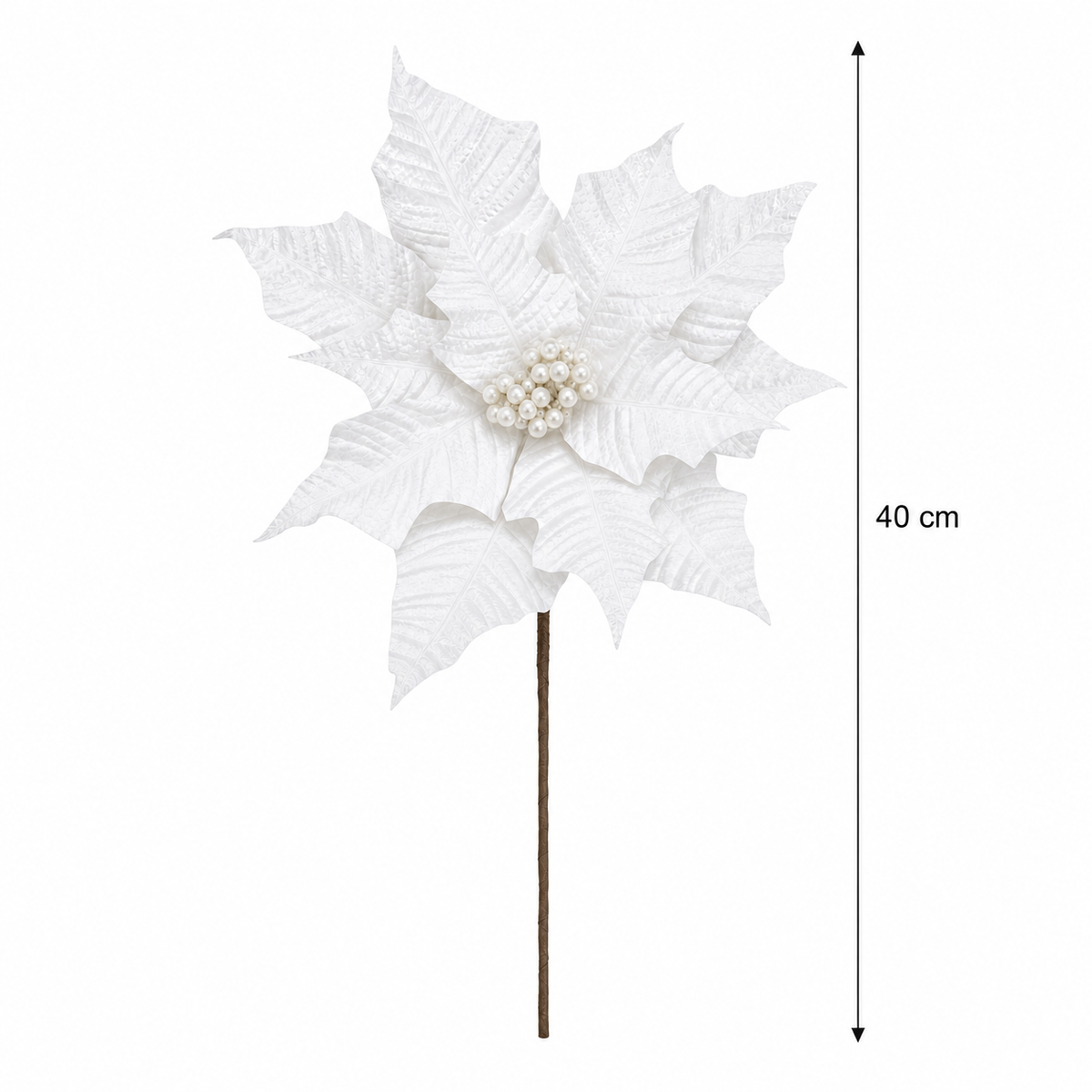 Winter Rose White