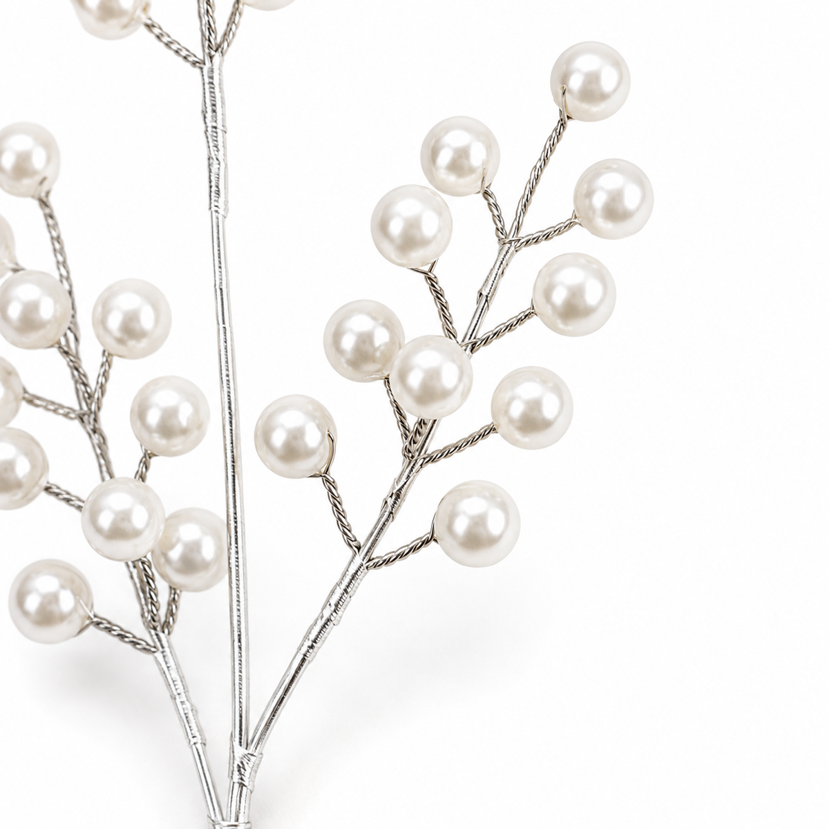 Snowberry