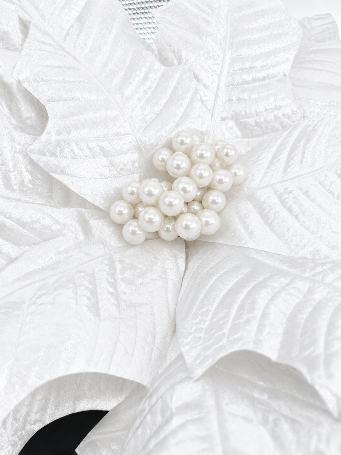 Winter Rose White