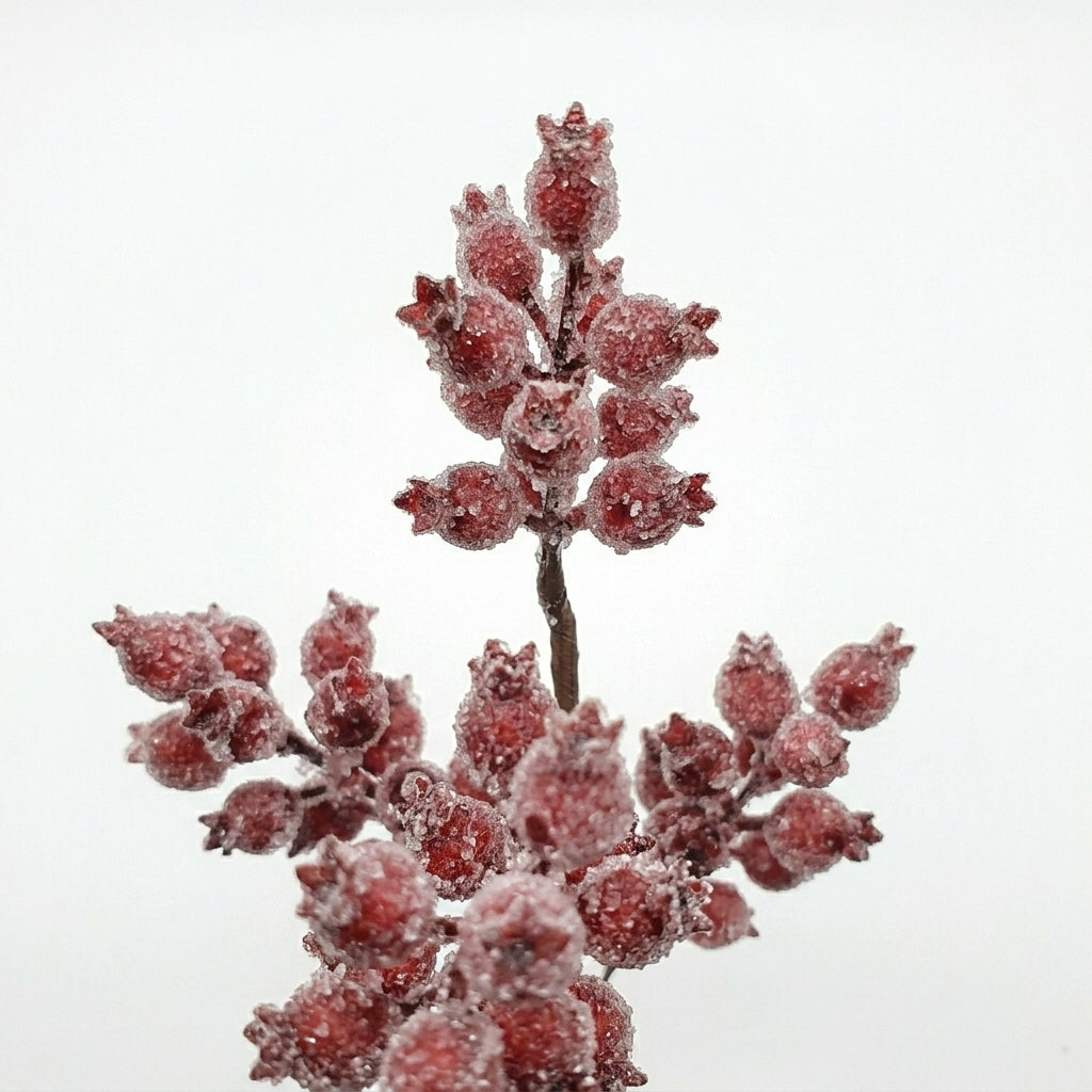 Red Huckleberry