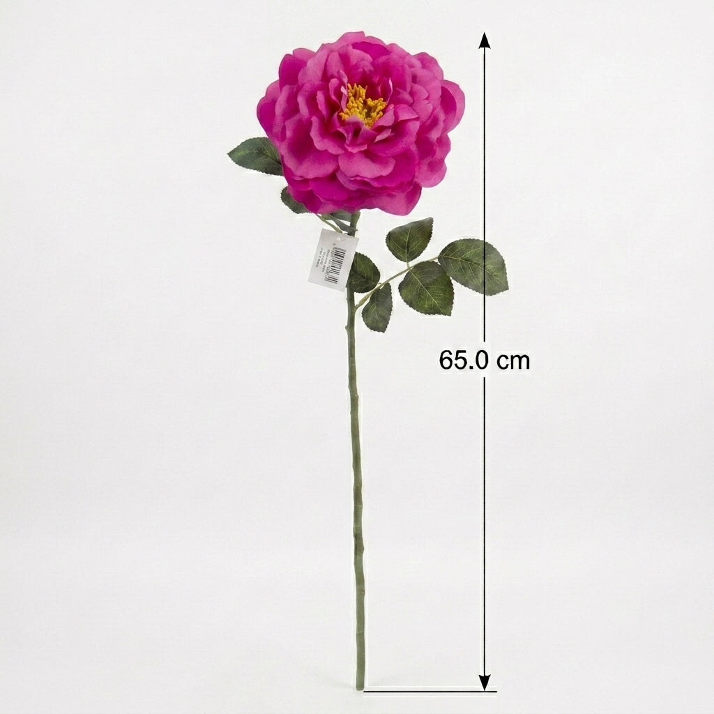 Grandiflora Rose Pink