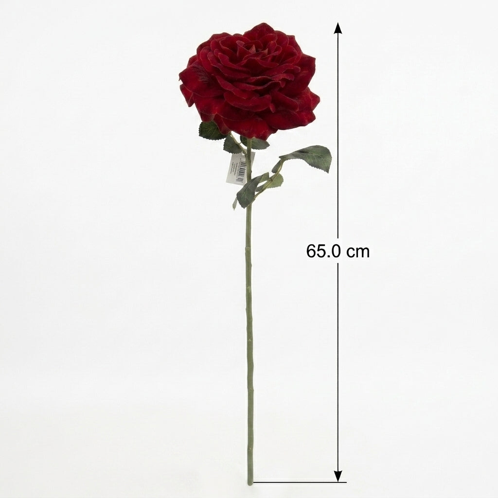 Grandiflora Rose Red