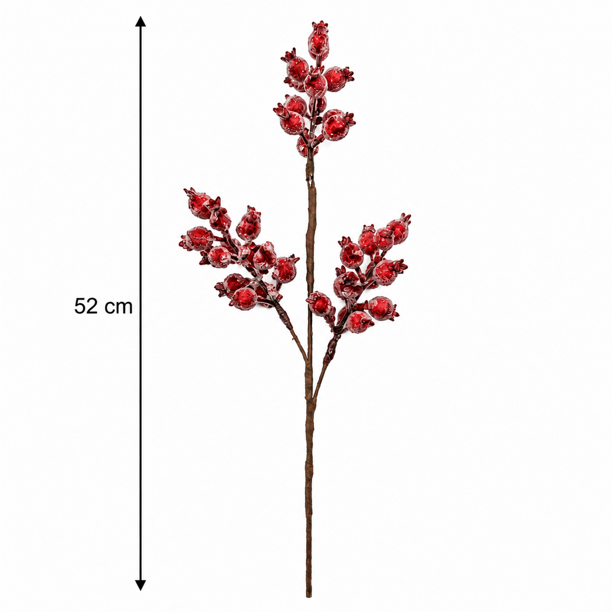 Red Huckleberry