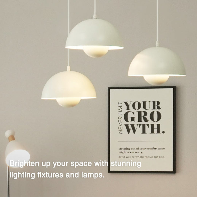Box Spring Lights Box Springs & Pullout Beds