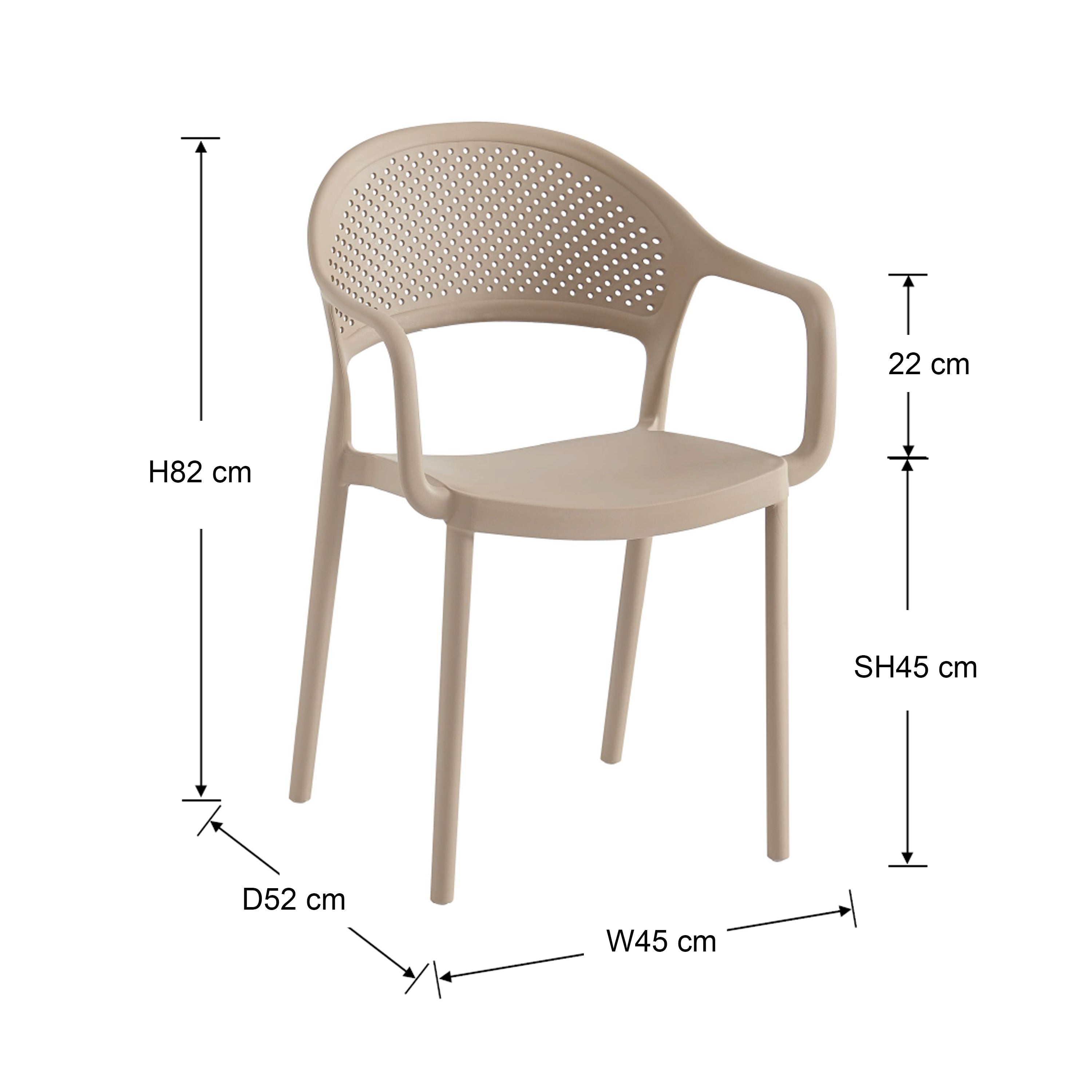 Oakley Plastic Dining Chair