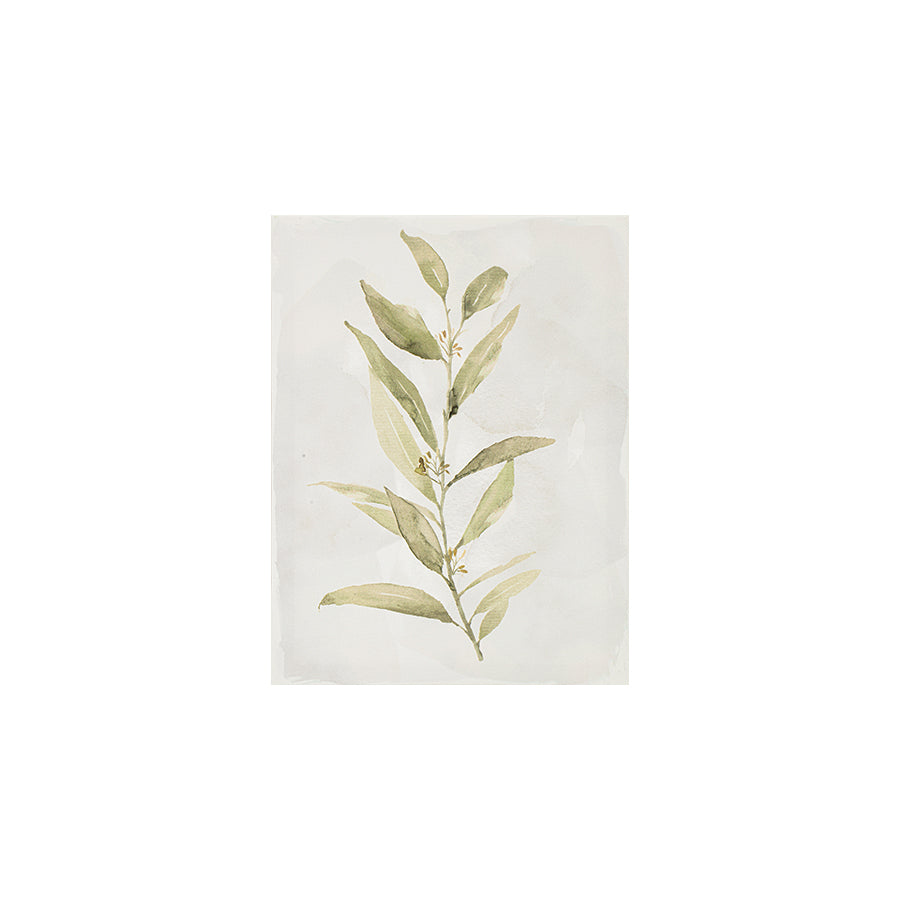 Udell Set of 5 Canvas Wall Art