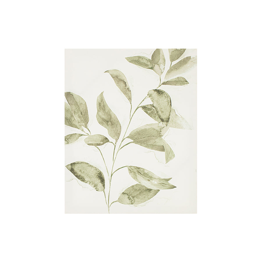 Udell Set of 5 Canvas Wall Art