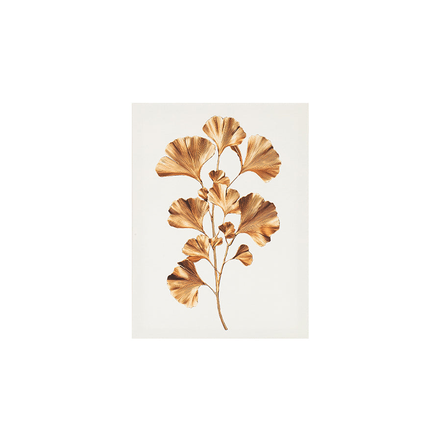 Ulka Set of 5 Canvas Wall Art
