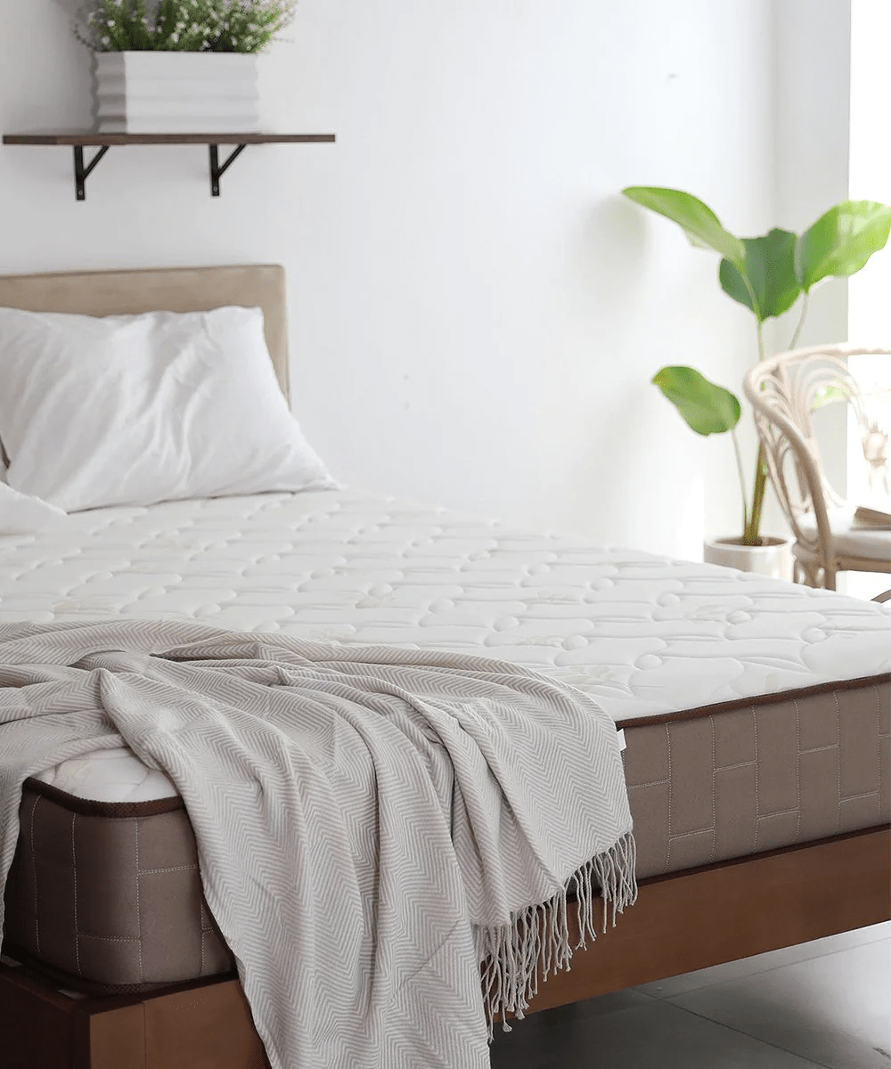 Mandaue online foam furniture