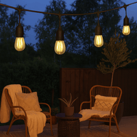 10-bulb Patio Waterproof String Lights