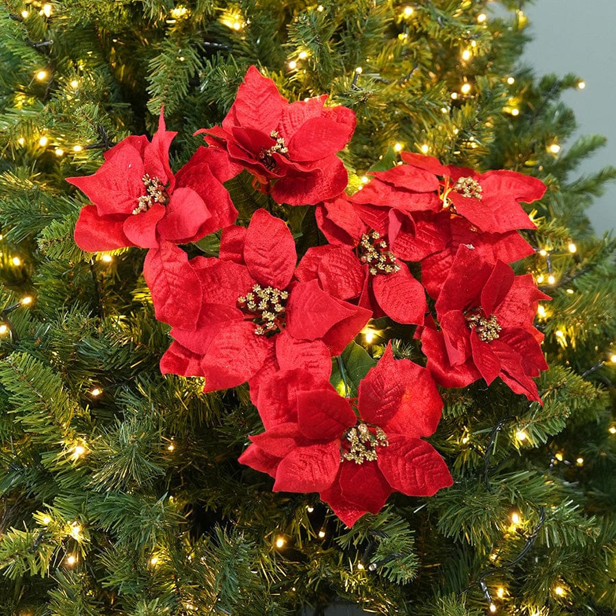 7 Heads Poinsettia Bunch