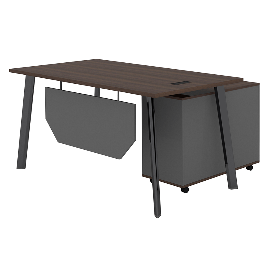 MORE ALICE OPTIONS Alice 160 cm Executive Desk with Mobile Cabinet Alice 160 cm Executive Desk with Mobile Cabinet Mandaue Foam