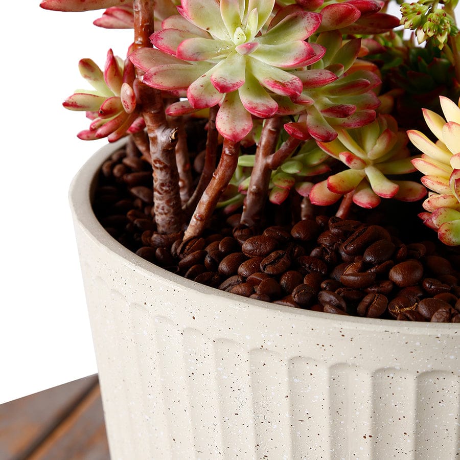 Aspen Plastic Pot