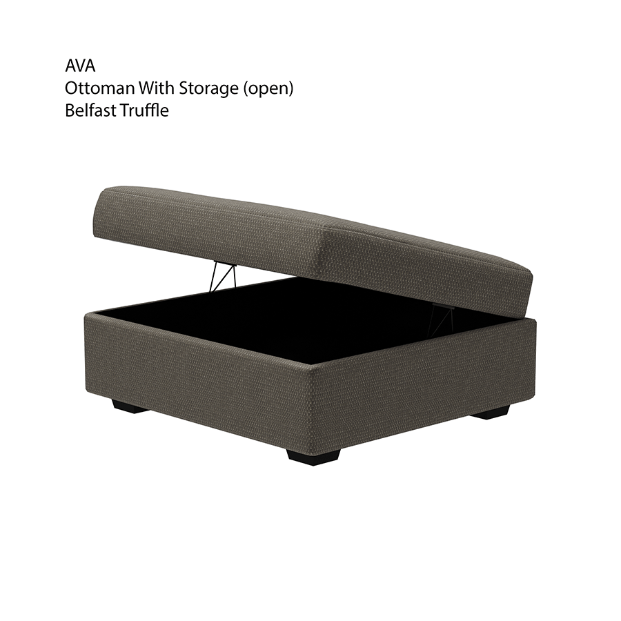 MORE AVA OPTIONS Ava Ottoman with Storage Ava Ottoman with Storage Mandaue Foam