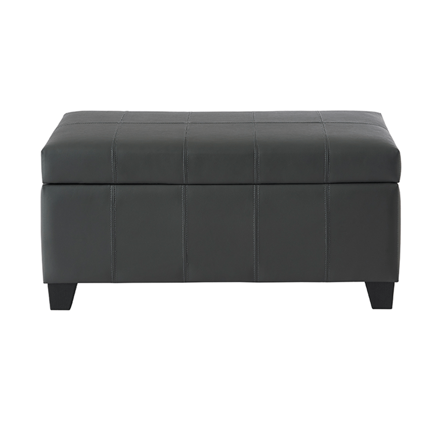 MORE AVERILL OPTIONS Averill Storage Bench - Faux Leather Averill Storage Bench - Faux Leather Mandaue Foam