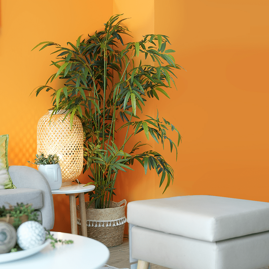 Bamboo Real Touch Bamboo Real Touch Mandaue Foam