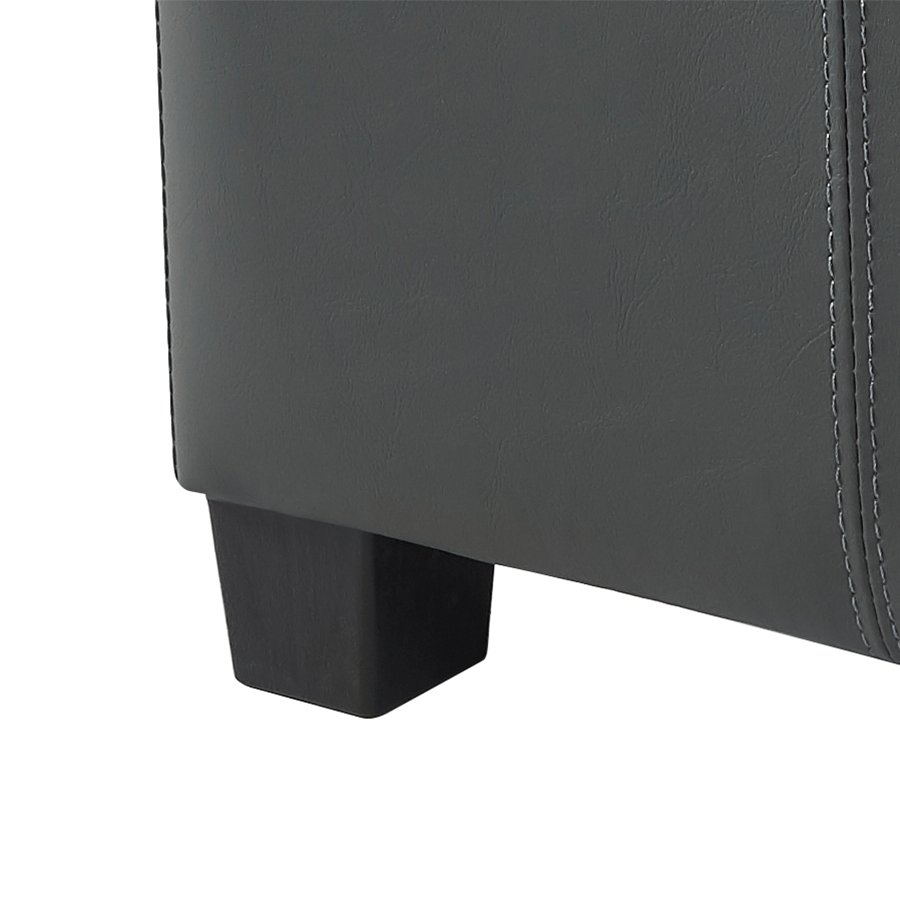 MORE CHRISLEY OPTIONS Chrisley Faux Leather Storage Ottoman Chrisley Faux Leather Storage Ottoman Mandaue Foam