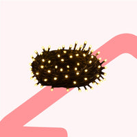 Christmas Lights 100LED Steady Warmwhite