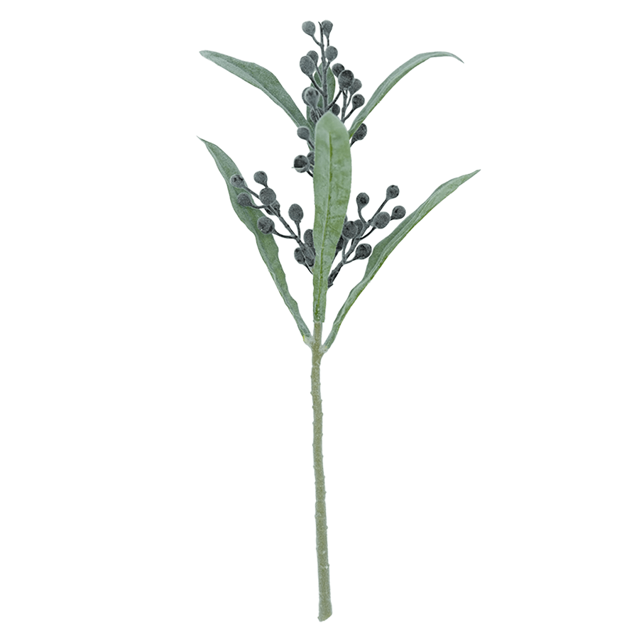 Coix Spray Coix Spray Mandaue Foam