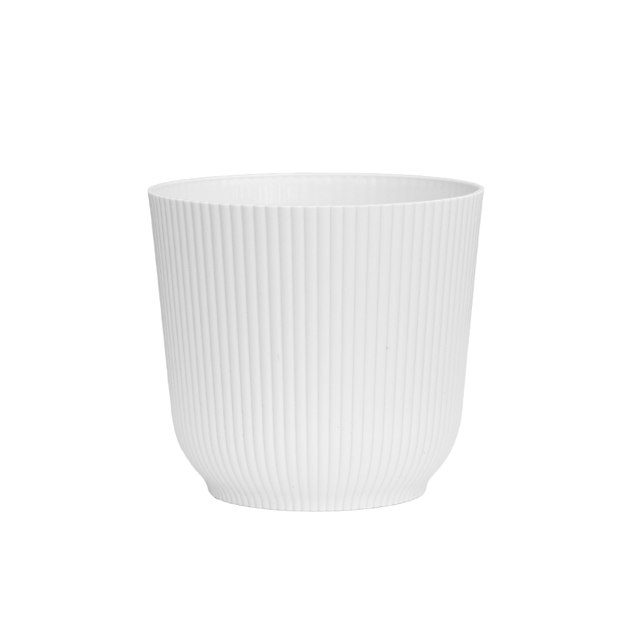 Darcy Plastic Pot Darcy Plastic Pot 16 cm Mandaue Foam