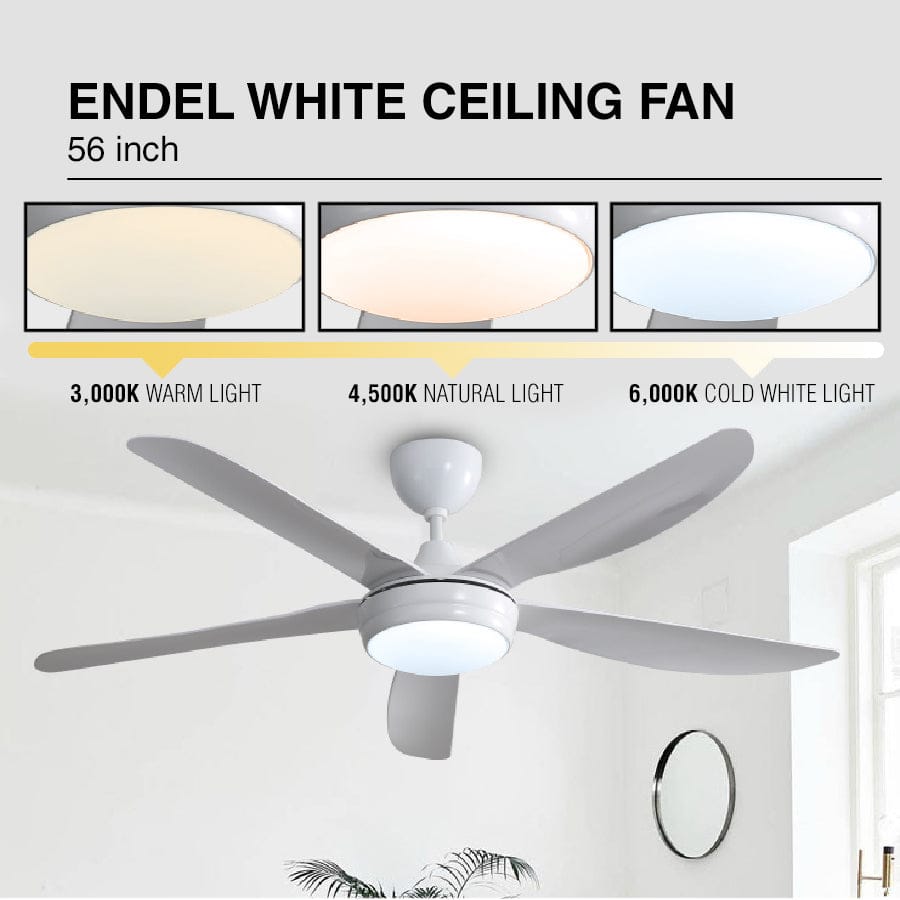 #color_white