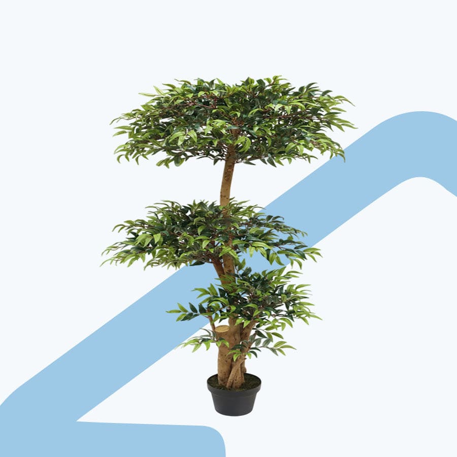 Eucalyptus Topiare Potted Plant 150 cm