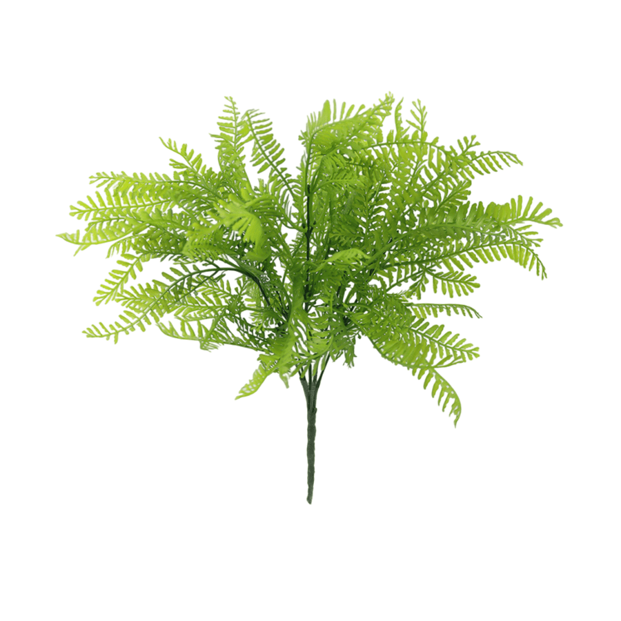 Fern Bunch Fern Bunch Mandaue Foam