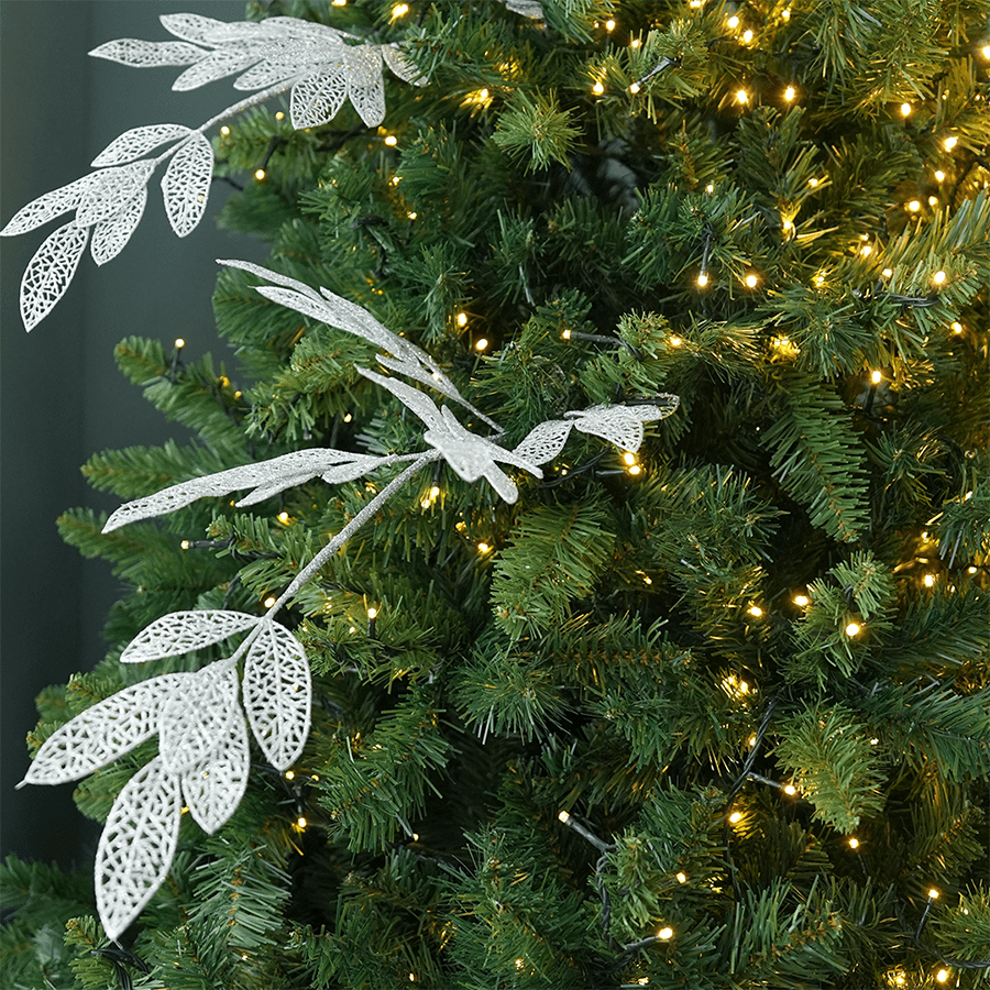 Ficus Glitters Ficus Glitters Mandaue Foam