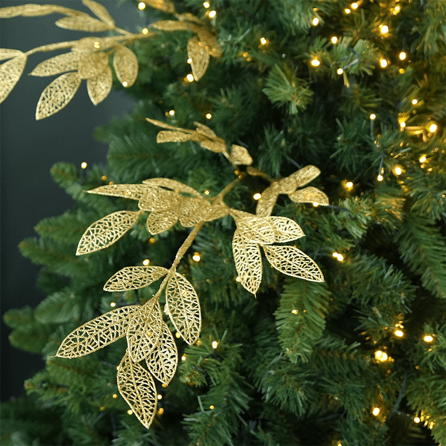 Ficus Glitters Ficus Glitters Mandaue Foam