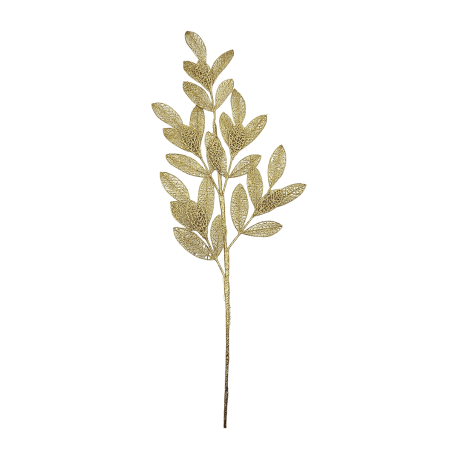 Ficus Glitters Ficus Glitters Gold Mandaue Foam