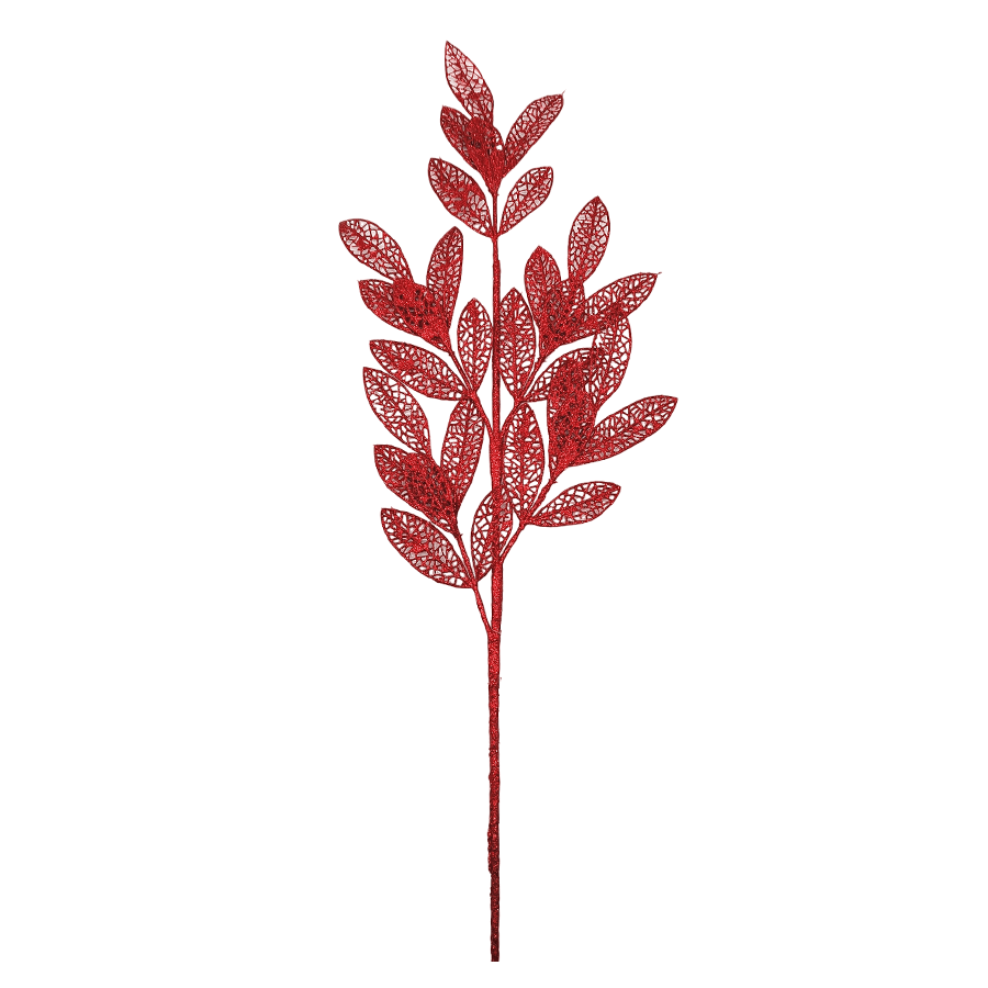 Ficus Glitters Ficus Glitters Red Mandaue Foam